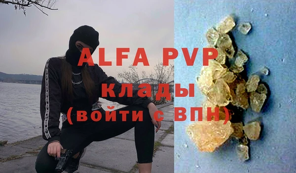 винт Горно-Алтайск